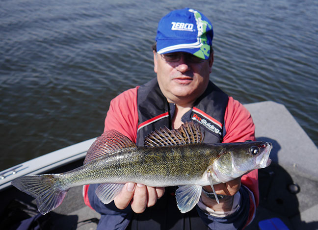 Pro-Guiding-Zander14029