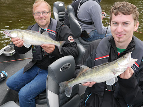 Pro-Guiding-Zander14033