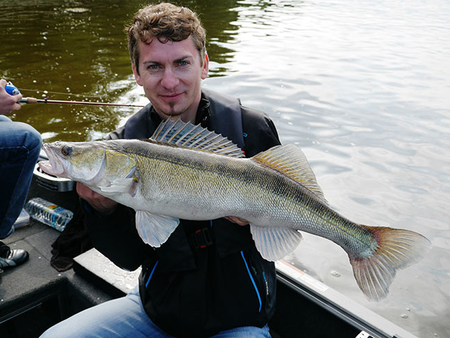 Pro-Guiding-Zander14034
