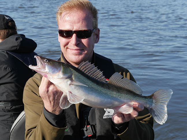 Pro-Guiding-Zander14044