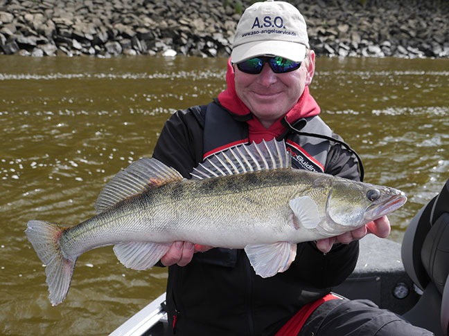 Pro-Guiding-Zander14048