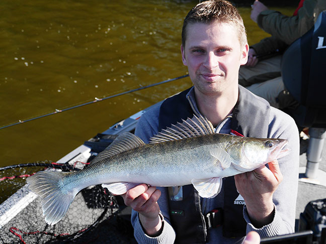 Pro-Guiding-Zander14070