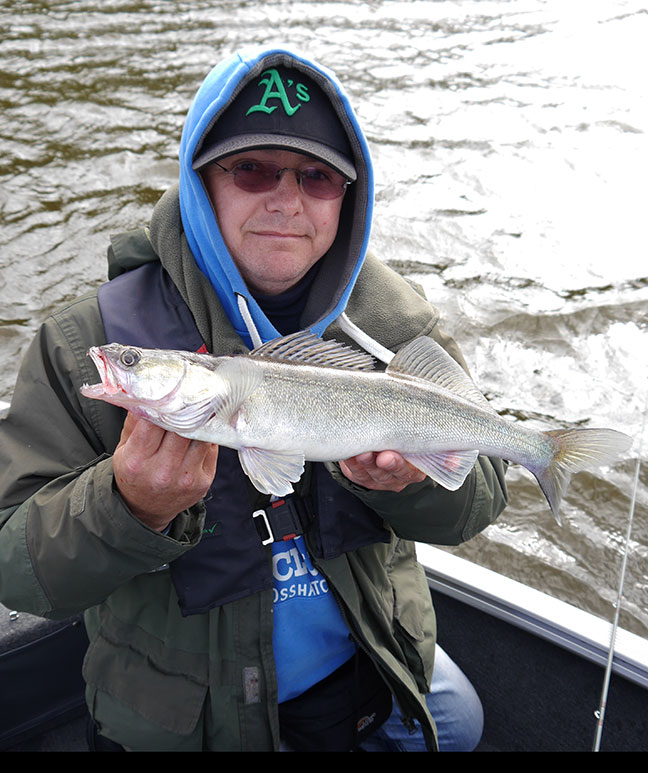 Pro-Guiding-Zander14132