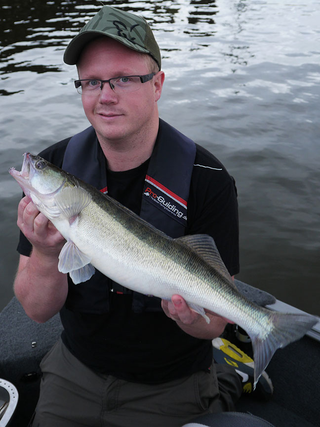 Pro-Guiding-Zander14143