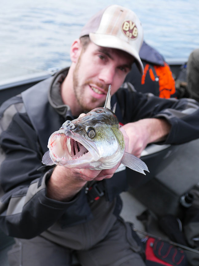 Pro-Guiding-Zander14145