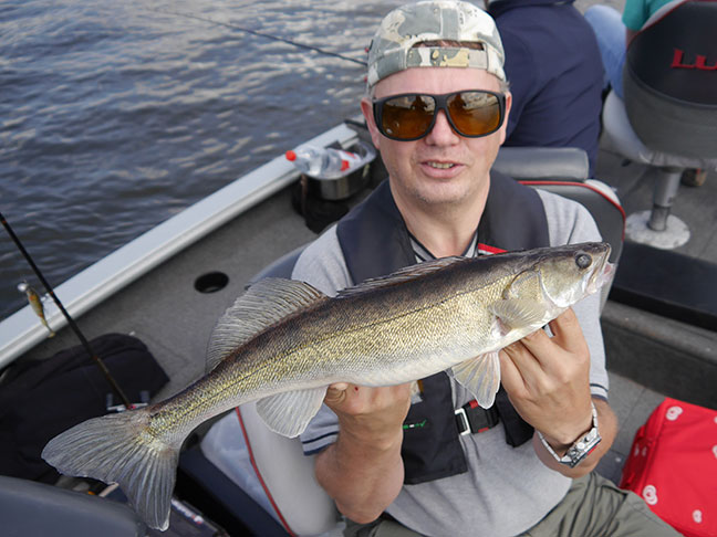Pro-Guiding-Zander14158