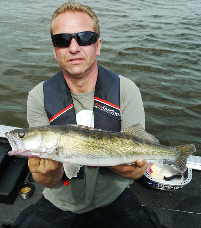 Pro-Guiding-Zander14161