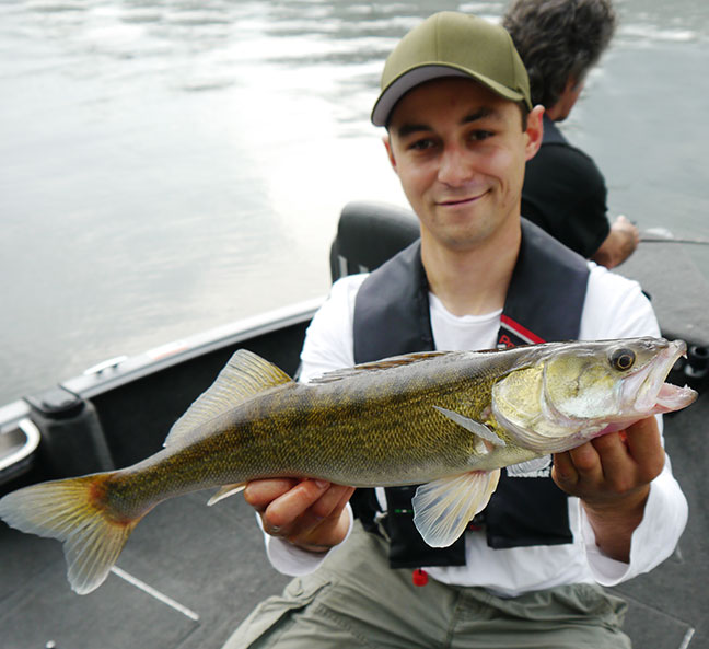 Pro-Guiding-Zander14163