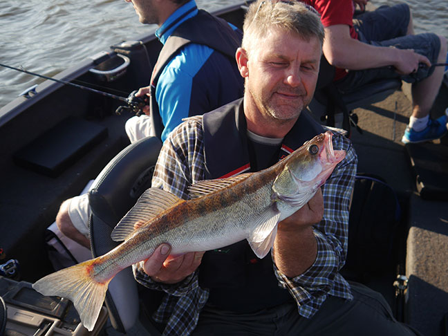 Pro-Guiding-Zander14173