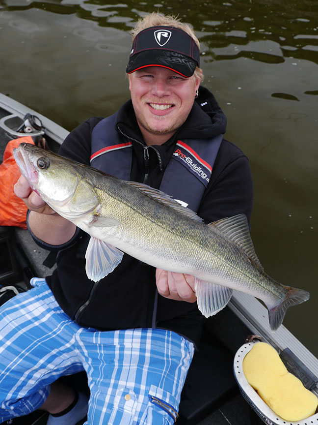 Pro-Guiding-Zander14179