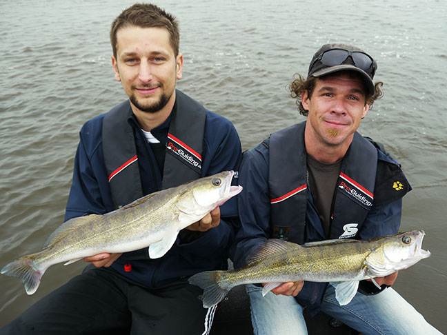 Pro-Guiding-Zander14187