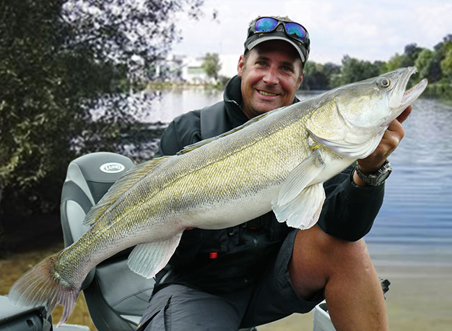 Pro-Guiding-Zander14209