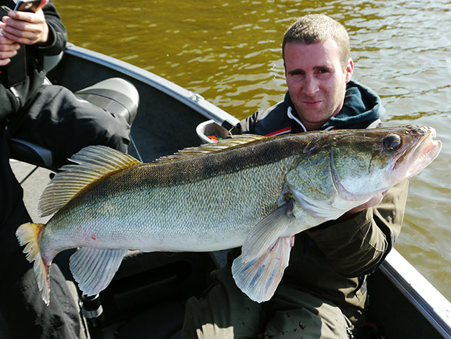 Pro-Guiding-Zander14211