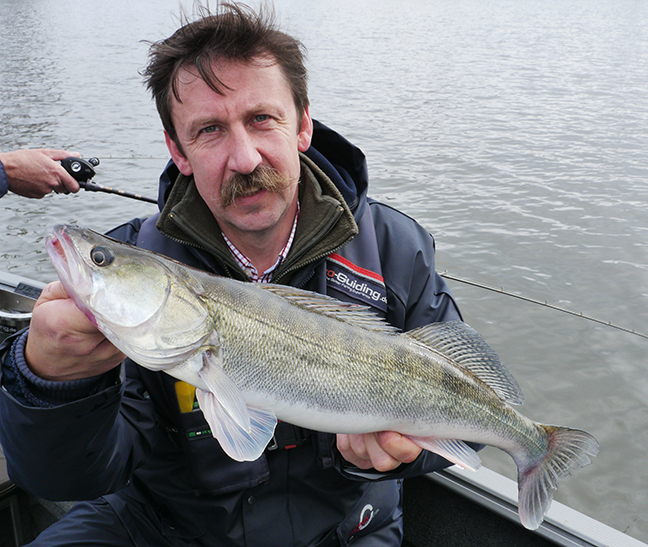 Pro-Guiding-Zander14266