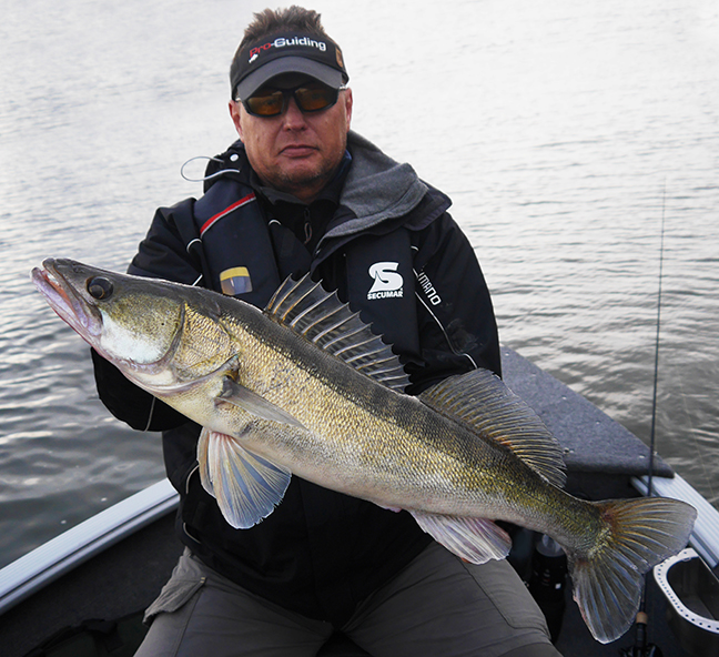 Pro-Guiding-Zander14267