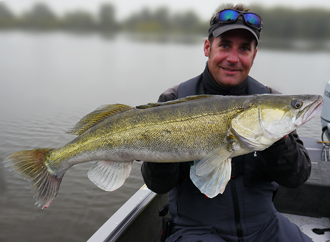 Pro-Guiding-Zander14269