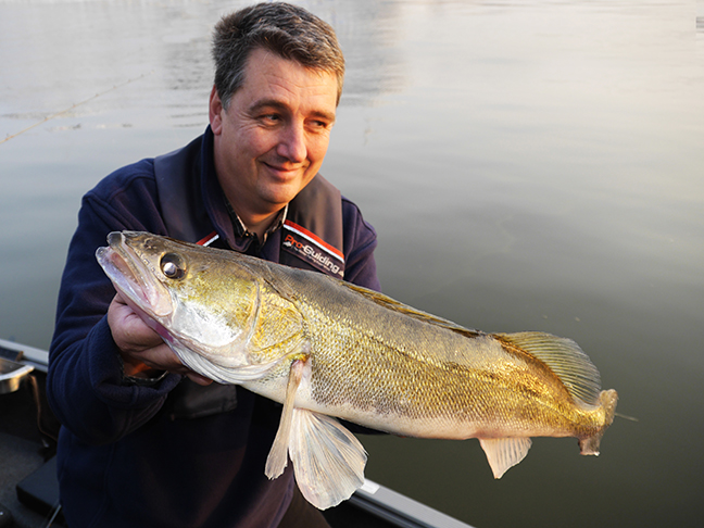 Pro-Guiding-Zander14280