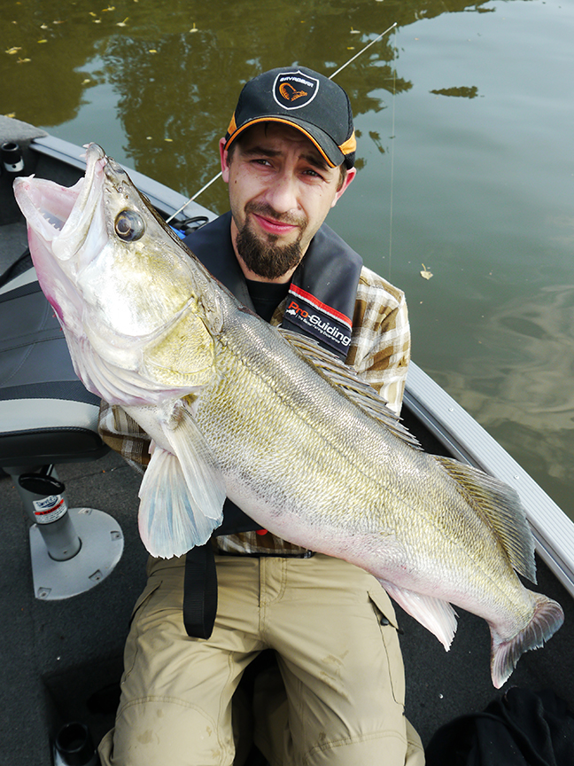 Pro-Guiding-Zander14286