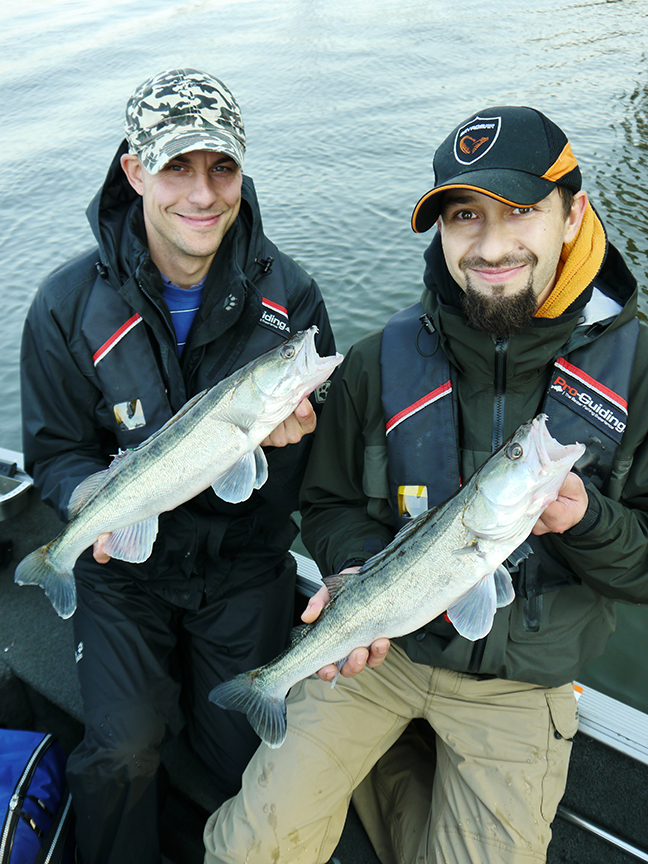 Pro-Guiding-Zander14288