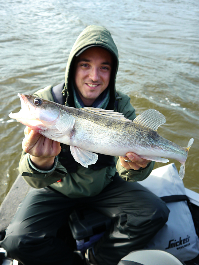 Pro-Guiding-Zander14298