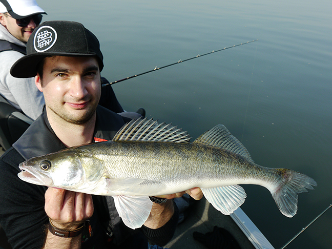 Pro-Guiding-Zander14307