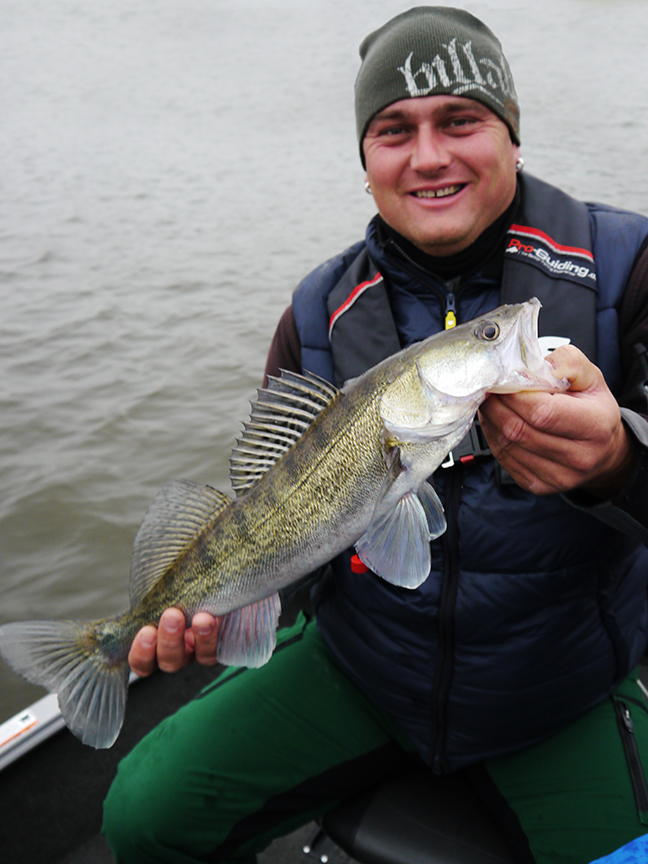 Pro-Guiding-Zander14331