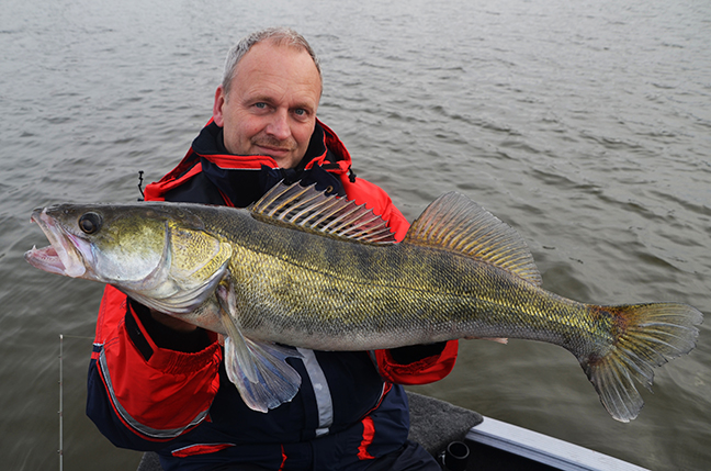 Pro-Guiding-Zander14333