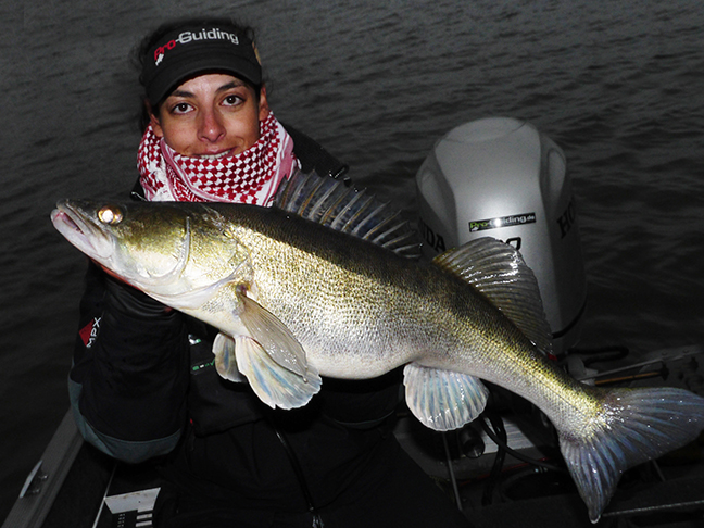 Pro-Guiding-Zander14405