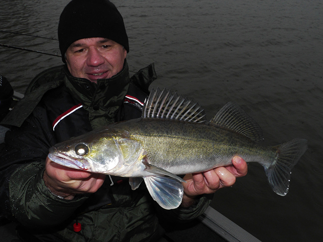 Pro-Guiding-Zander14409