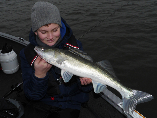 Pro-Guiding-Zander14422