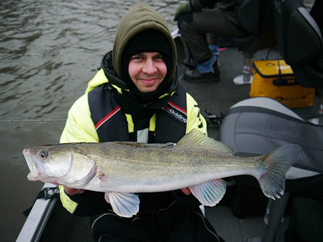 Pro-Guiding-Zander14423
