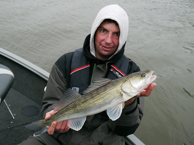 Pro-Guiding-Zander14425