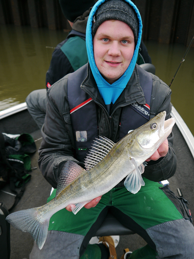 Pro-Guiding-Zander14436