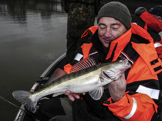 Pro-Guiding-Zander14440