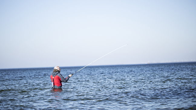 Pro-Guiding-Meerforelle15015