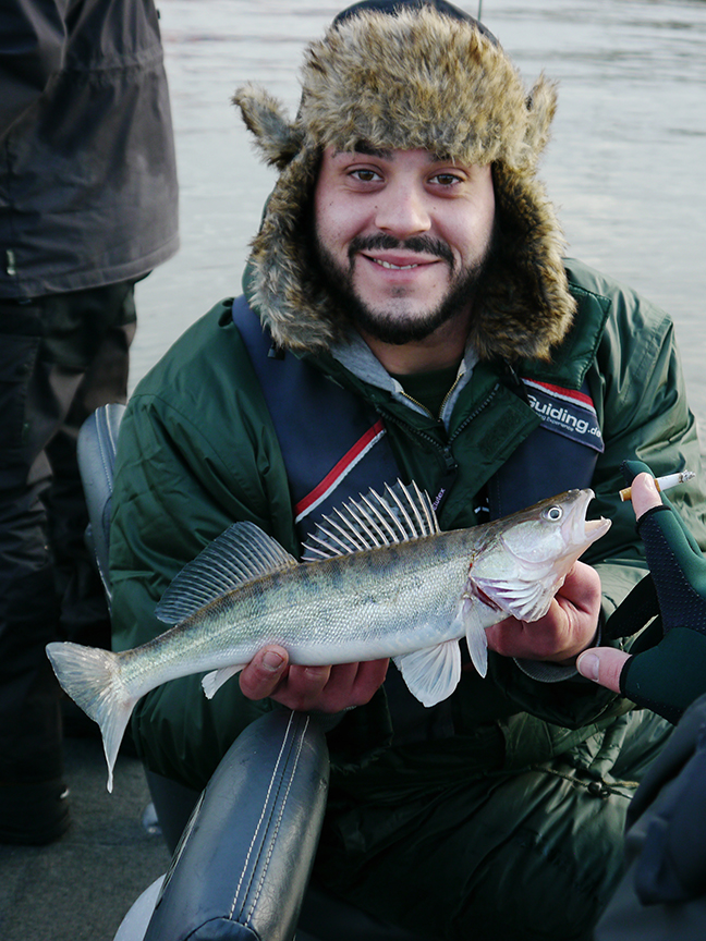 Pro-Guiding-Zander14453