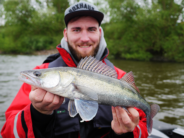 Pro-Guiding-Zander15003