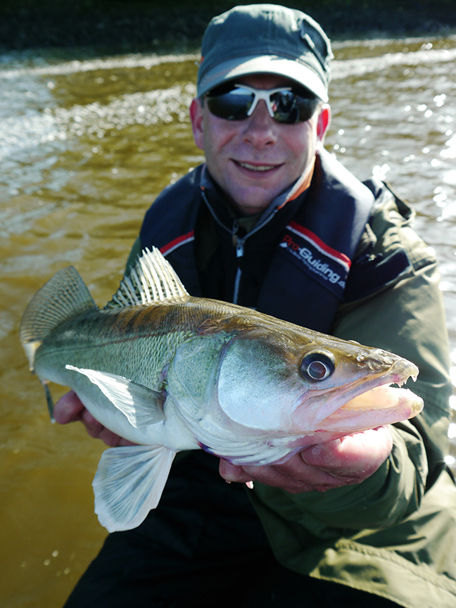 Pro-Guiding-Zander15006