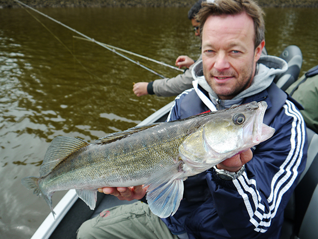 Pro-Guiding-Zander15011