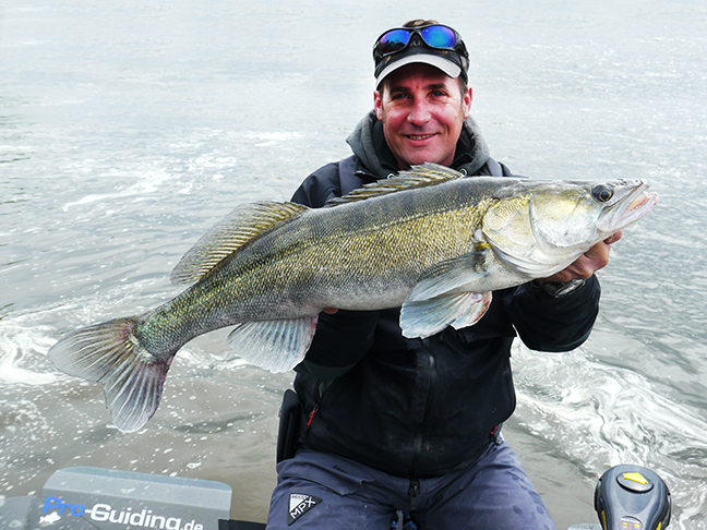 Pro-Guiding-Zander15012