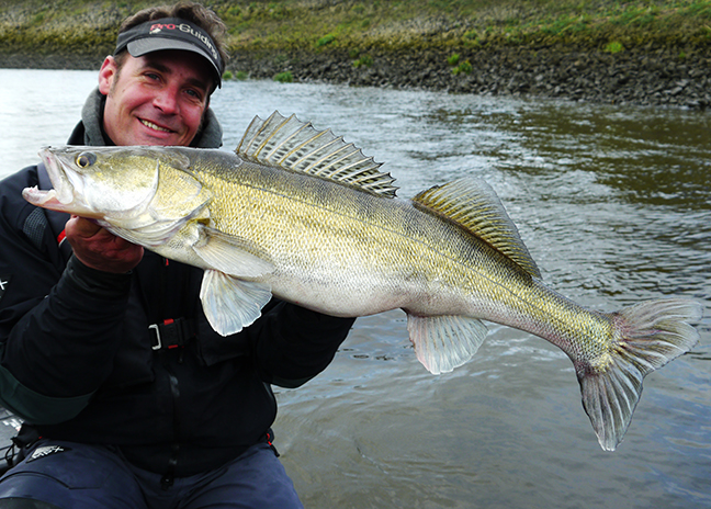 Pro-Guiding-Zander15014