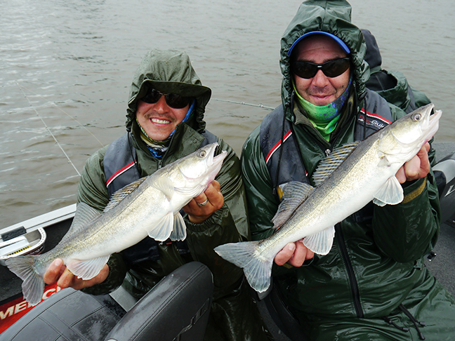 Pro-Guiding-Zander15015