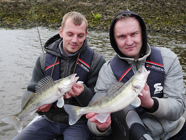 Pro-Guiding-Zander15018