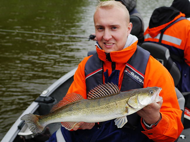 Pro-Guiding-Zander15019