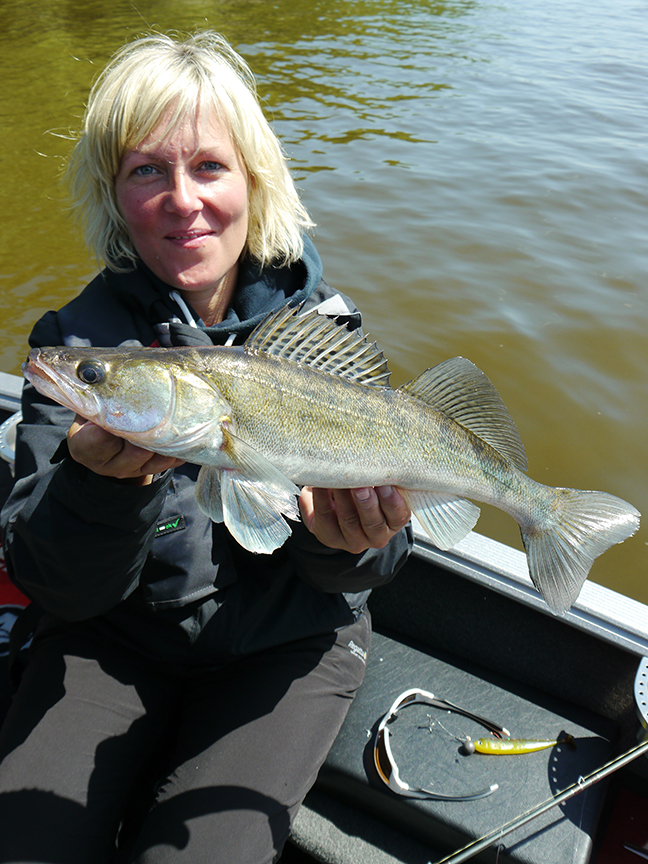 Pro-Guiding-Zander15028