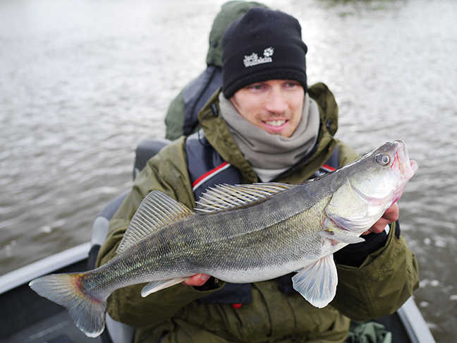 Pro-Guiding-Zander15033