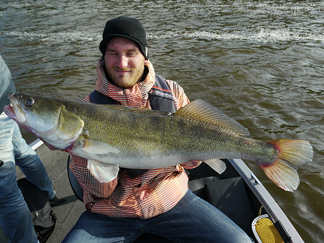 Pro-Guiding-Zander15040