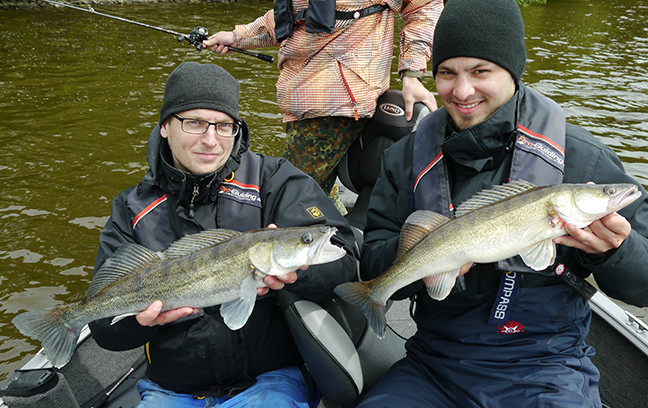 Pro-Guiding-Zander15045