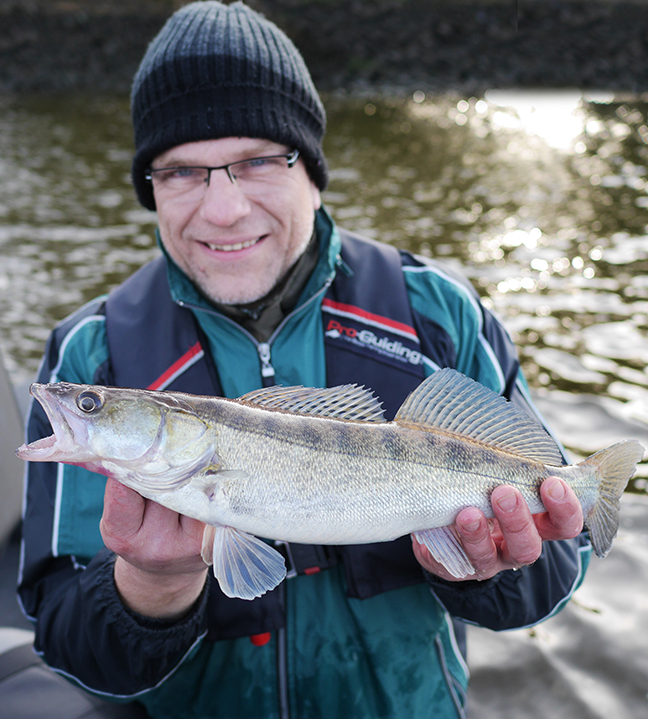 Pro-Guiding-Zander15049