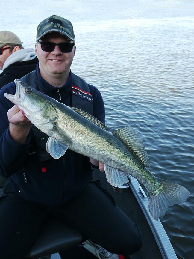 Pro-Guiding-Zander15078